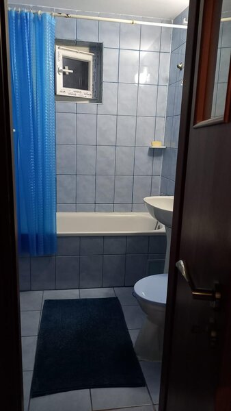 Berceni, Luica, Resita, renovat